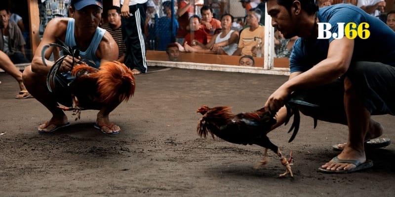 Luật chơi khắc nghiệt vẽ nên trận địa đẫm máu đầy chiến lược